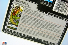 gi-joe-dutch-alpine-back-1-copy